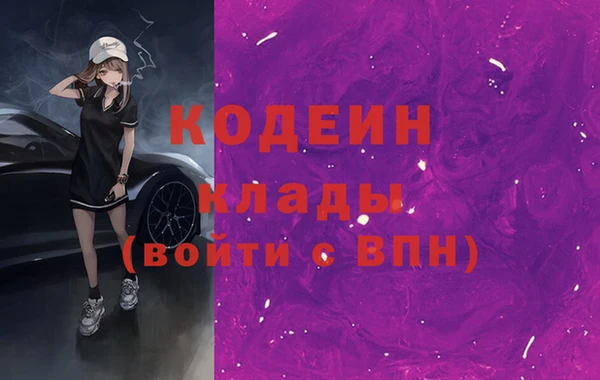 гидра Богородицк