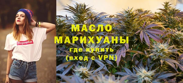 гидра Богородицк