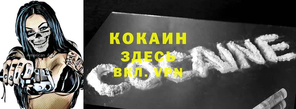 гидра Богородицк