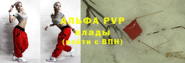 крисы Богданович