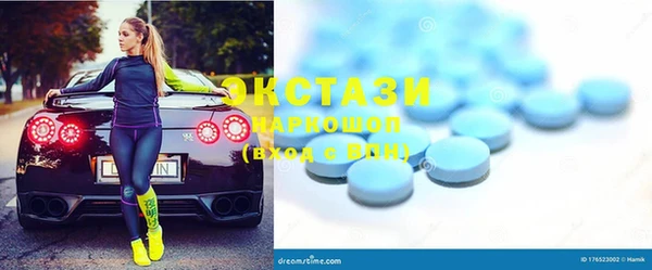 гидра Богородицк