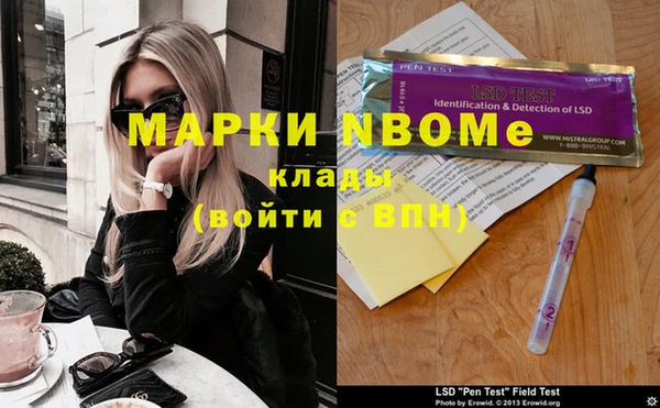 гидра Богородицк