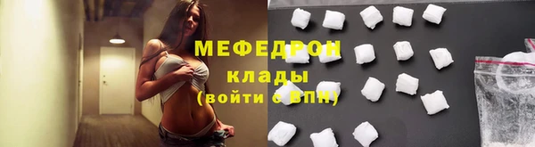 гидра Богородицк