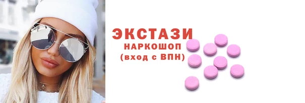гидра Богородицк
