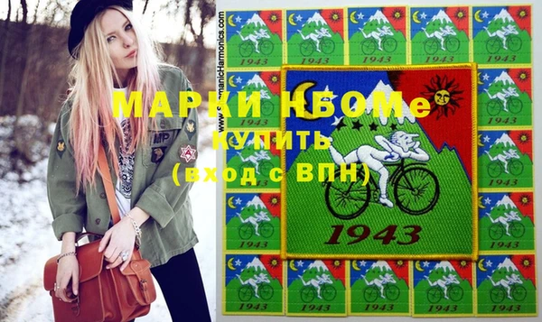 гидра Богородицк