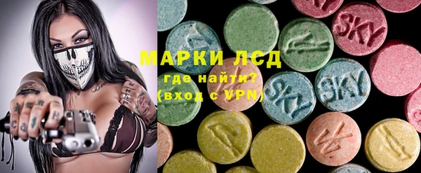 гидра Богородицк