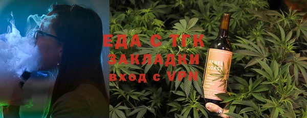 гидра Богородицк
