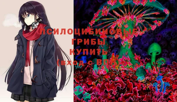 крисы Богданович