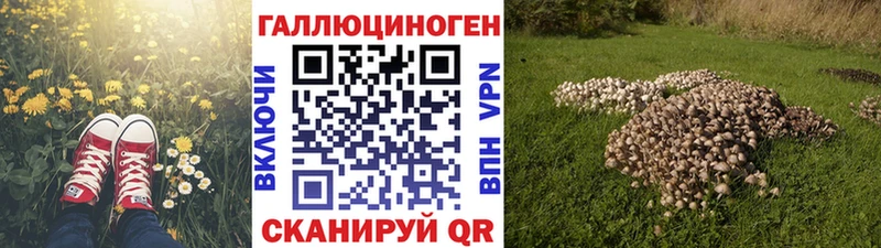 Псилоцибиновые грибы MAGIC MUSHROOMS Динская