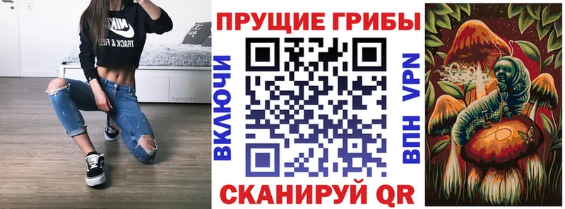 Псилоцибиновые грибы MAGIC MUSHROOMS Динская