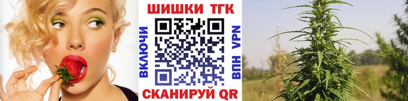 купить наркотик Динская Каннабис сатива